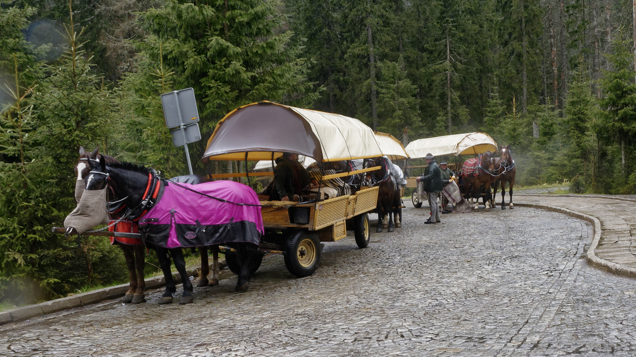 20160513-111820••Zakopane•Lesser Poland Voivodeship•Poland
